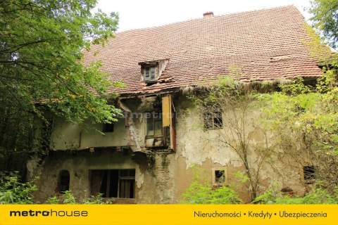 Kamienny młyn w sąsiedztwie SPA - Długopole-Zdrój