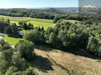 Działka budowlana na sprzedaż, 10600 m2, Łękawica
