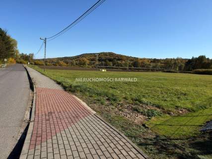 Działka inwestycyjna na sprzedaż, 10008 m2, Kalwaria Zebrzydowska