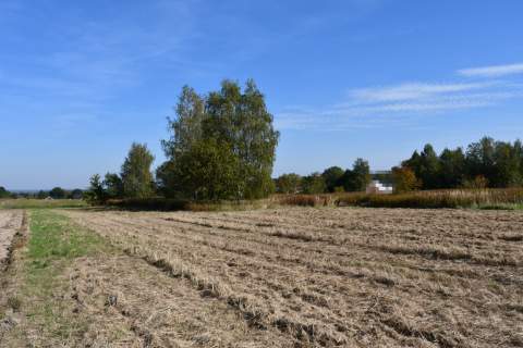 Działka rolno-budowlana 43a - Strażów