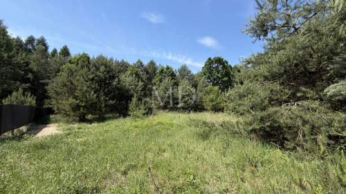 Cisza natura woda prąd światłowód MPZP Kampino