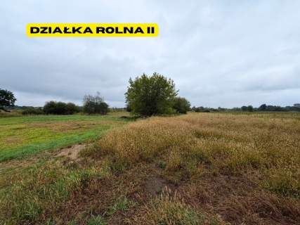 Działki rolne 2.63 ha Chełm Śląski NJ INVESTMENT