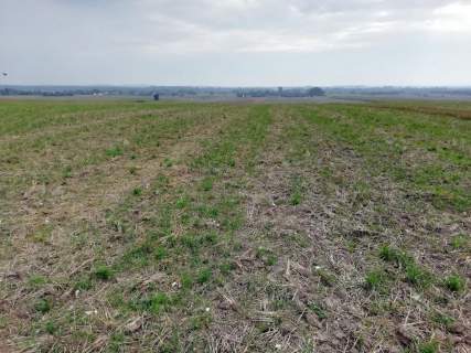 Działka inwestycyjna 4,5 ha bezpośrednio przy S12