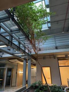 Nieruchomość komercyjna do wynajęcia, 360 m2, Warszawa