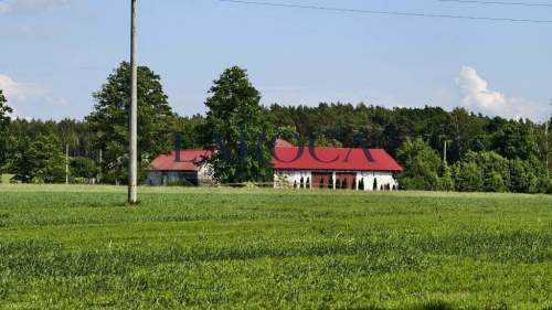  Dom, 6 pokoi, stodoła, Moczadła gm. Skępe