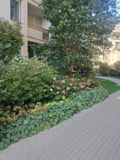 Mieszkanie na sprzedaż, 35 m2, Warszawa