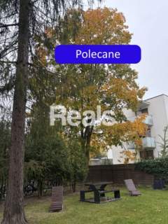 2 POKOJE, BALKON, PIWNICA, BLISKO SKM
