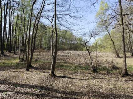 Działka budowlana na sprzedaż, 10904 m2, Anielin Swędowski