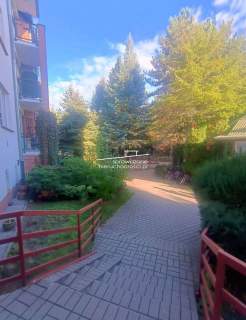 jasne, ciche 3 pokojowe do wprowadzenia na Ursynow
