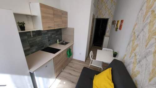 Studio w centrum, pet-friendly - Kilińskiego 30