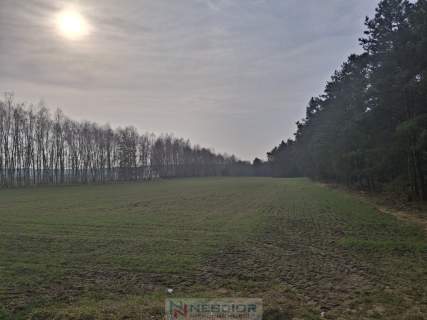 Dwie działki budowlane po 1000 m w Boroszkowie