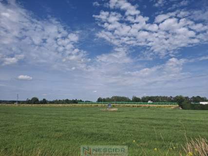 Działka budowlana 1500m Żelków Kolonia/Siedlce
