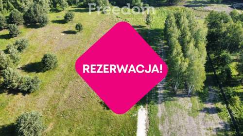 Stare Budy Radziejowskie- działka z prądem.