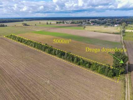 Działka rolna na sprzedaż, 5000 m2, Białogórzyno